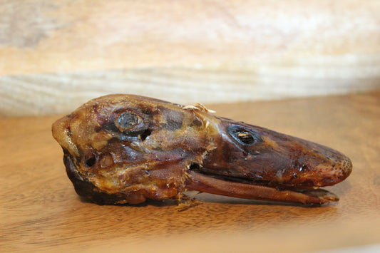 Dehydrated Duck Head
