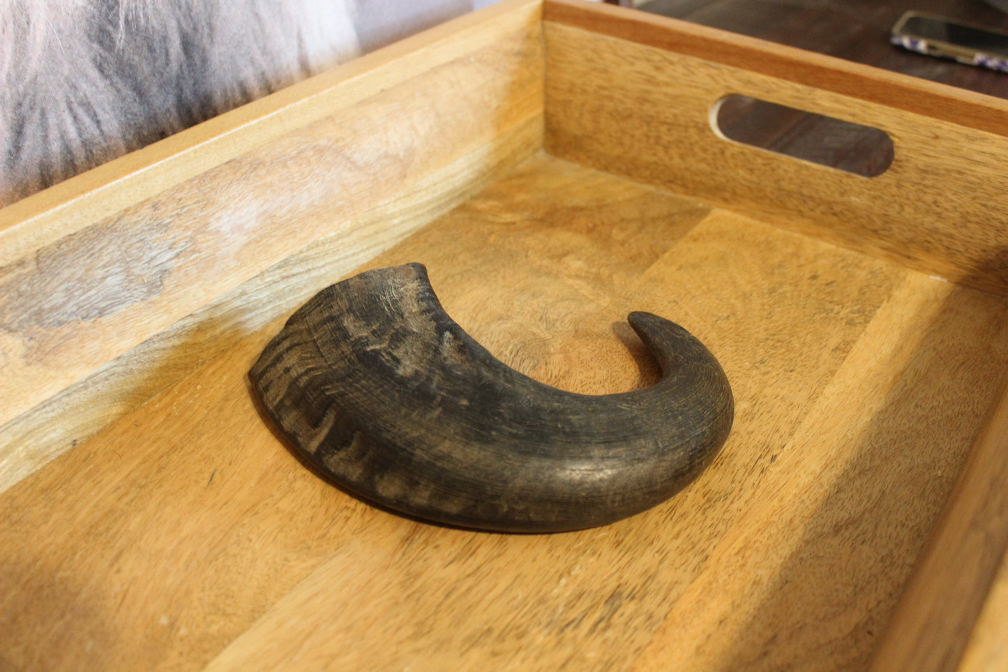 Water Buffalo Horn (Medium/Large)