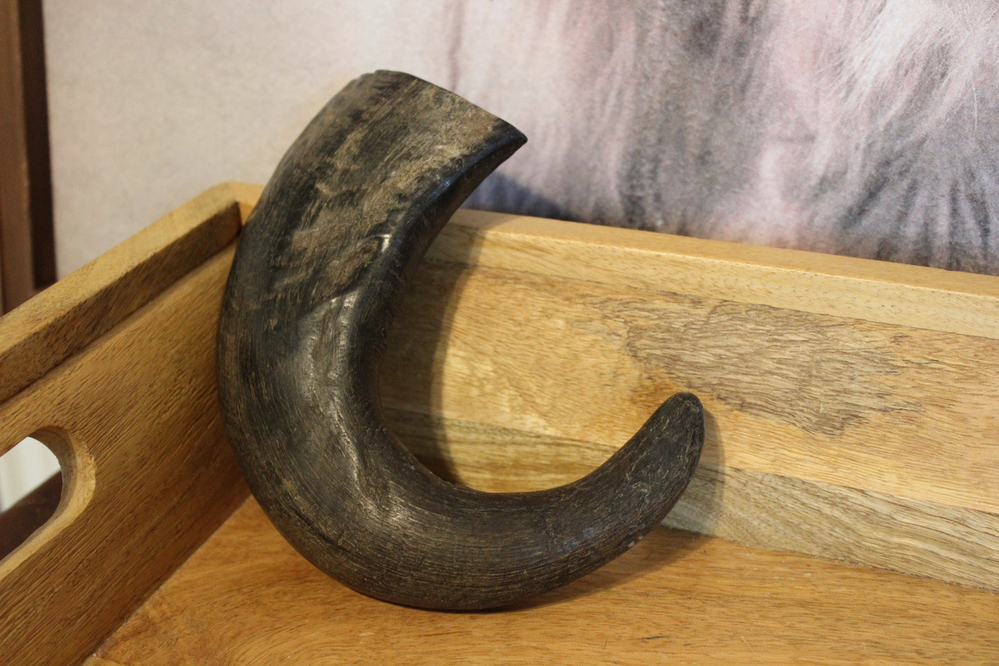 Water Buffalo Horn (Medium/Large)