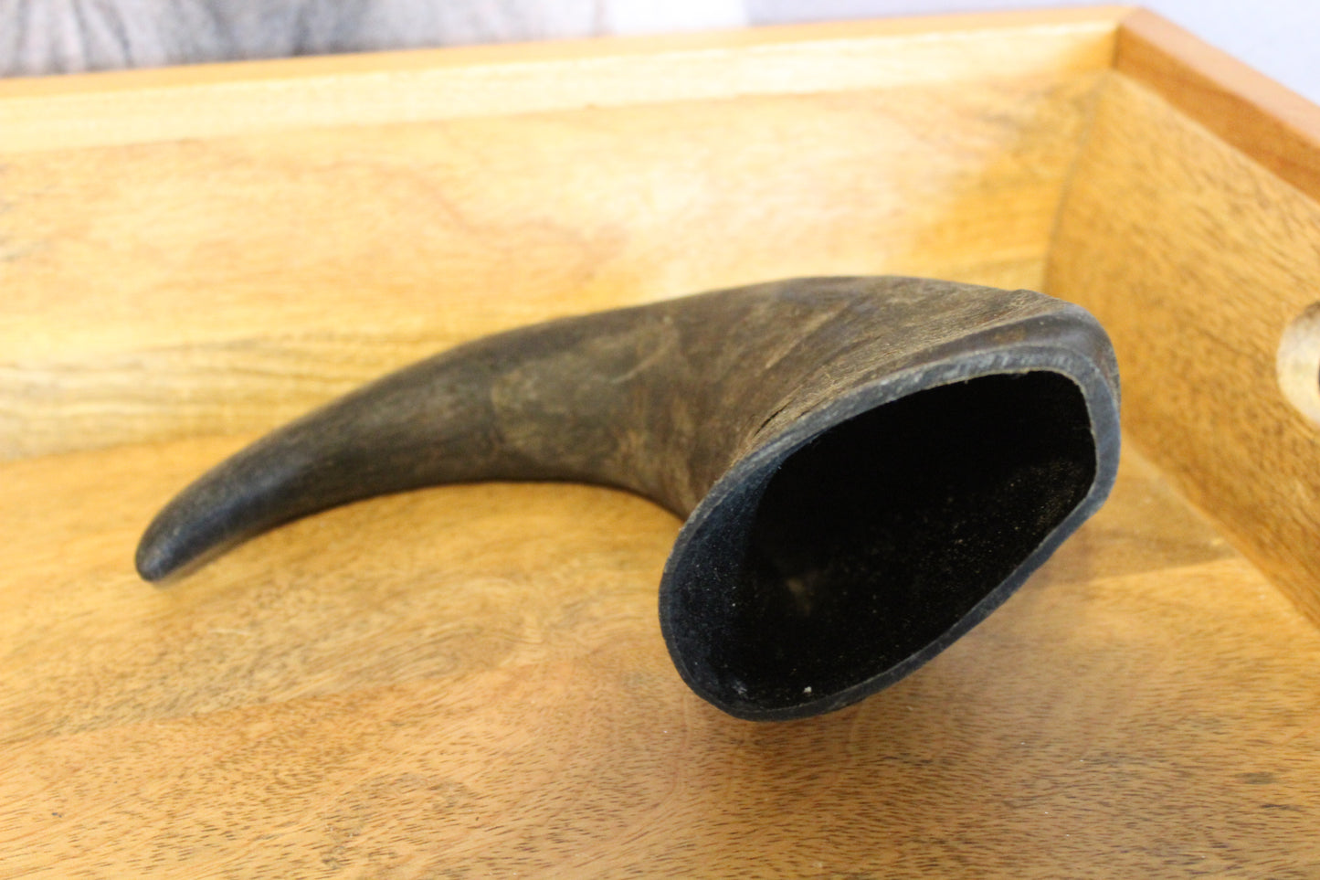 Water Buffalo Horn (Large)