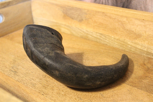 Water Buffalo Horn (Large)