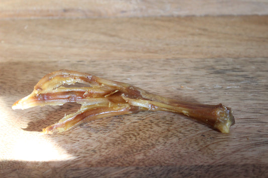 Duck Feet