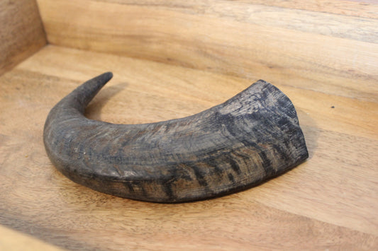 Water Buffalo Horn (Medium/Large)