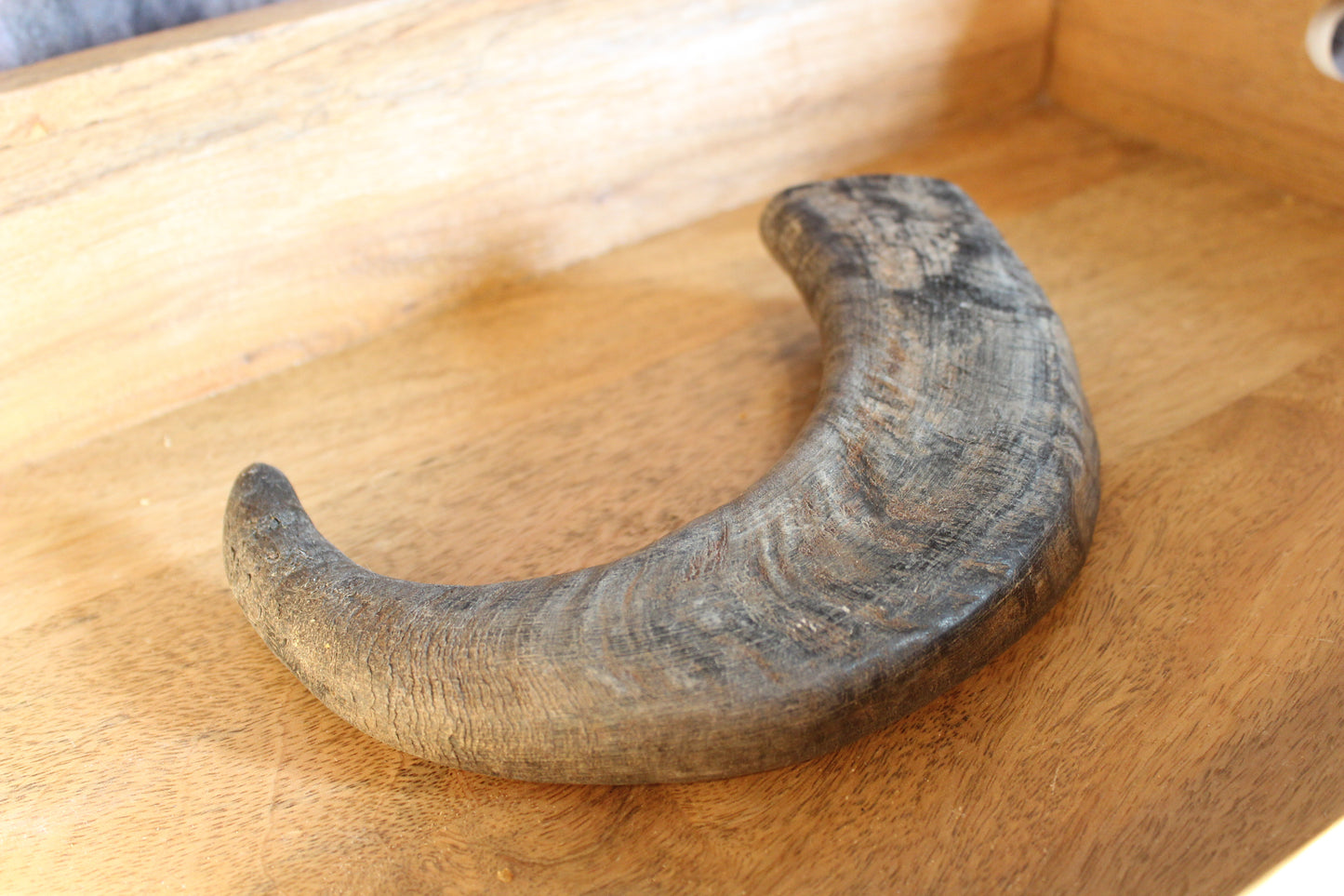 Water Buffalo Horn (Medium/Large)