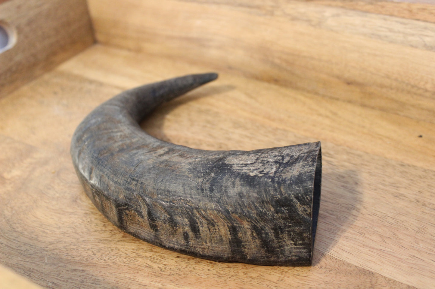 Water Buffalo Horn (Medium/Large)