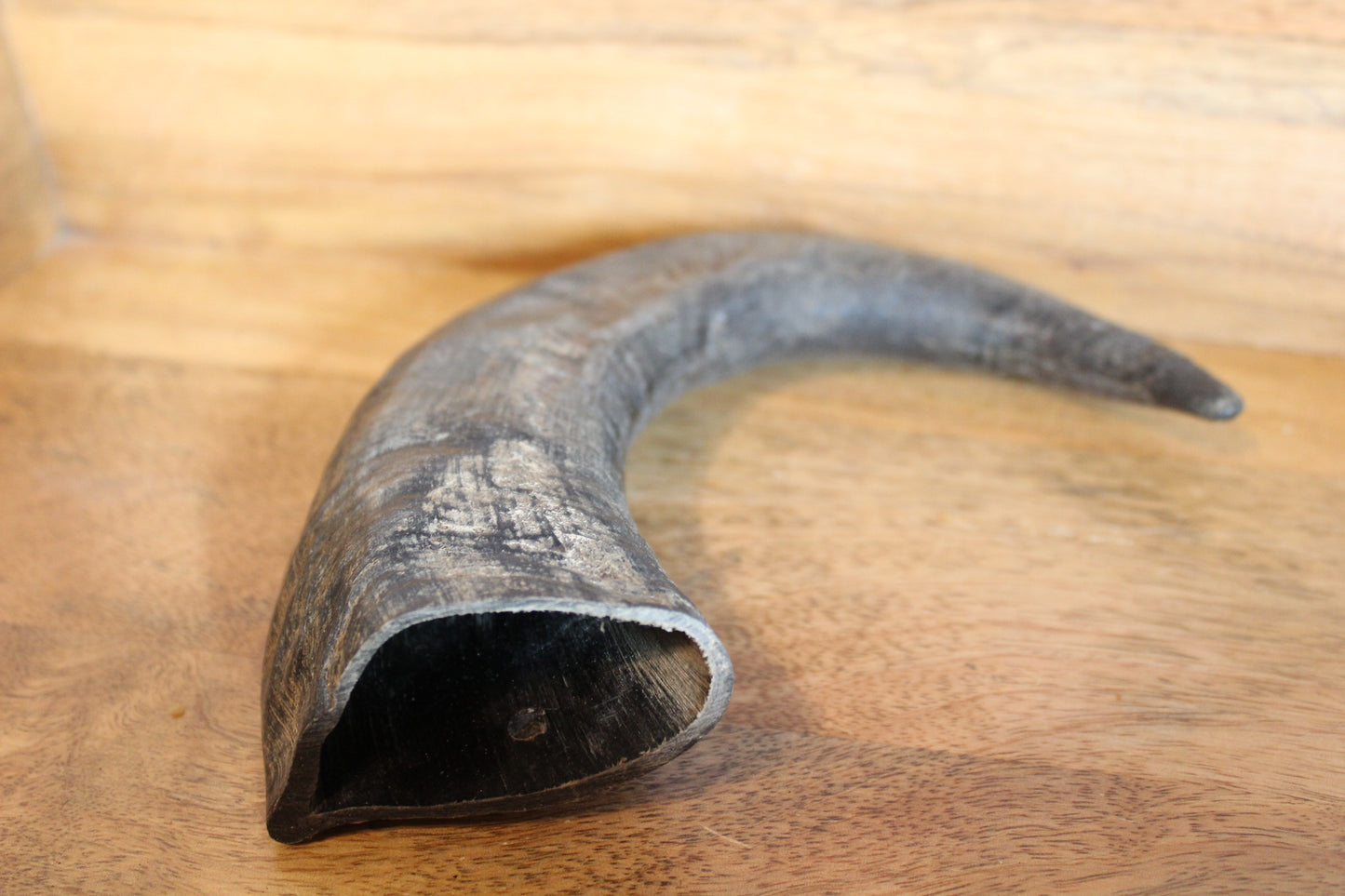Water Buffalo Horn (Medium/Large)