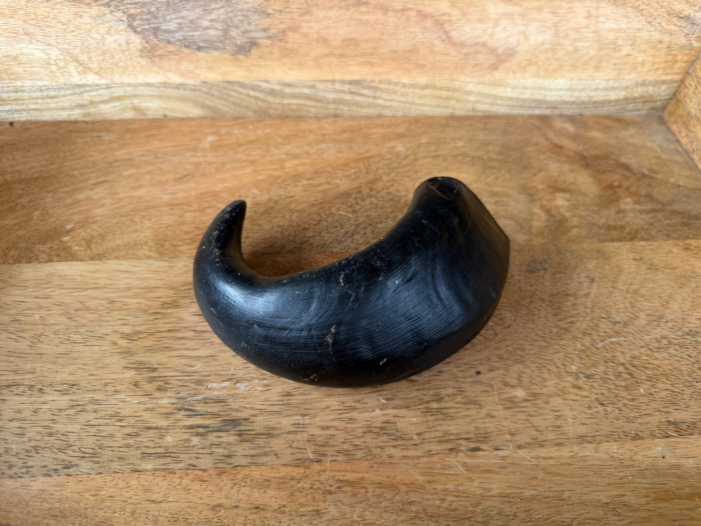 Water Buffalo Horn (Medium/Large)
