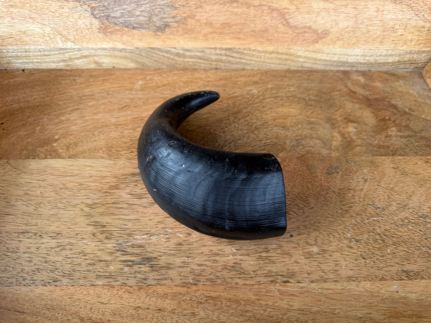 Water Buffalo Horn (Medium/Large)