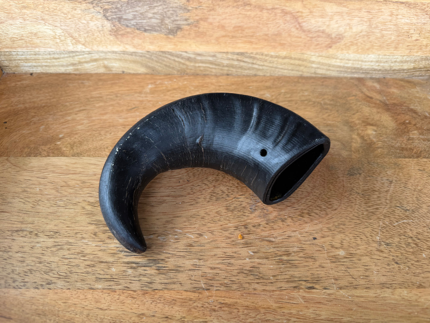 Water Buffalo Horn (Medium/Large)